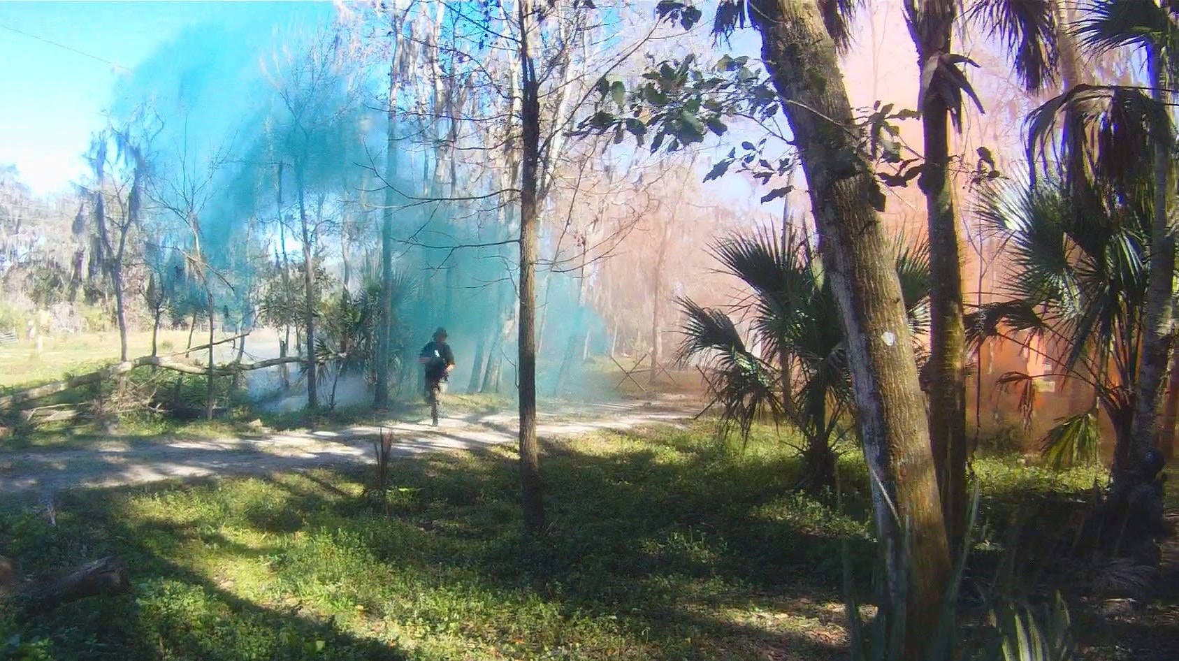 Player running through blue smoke grenade cloud in the forest at Amerika