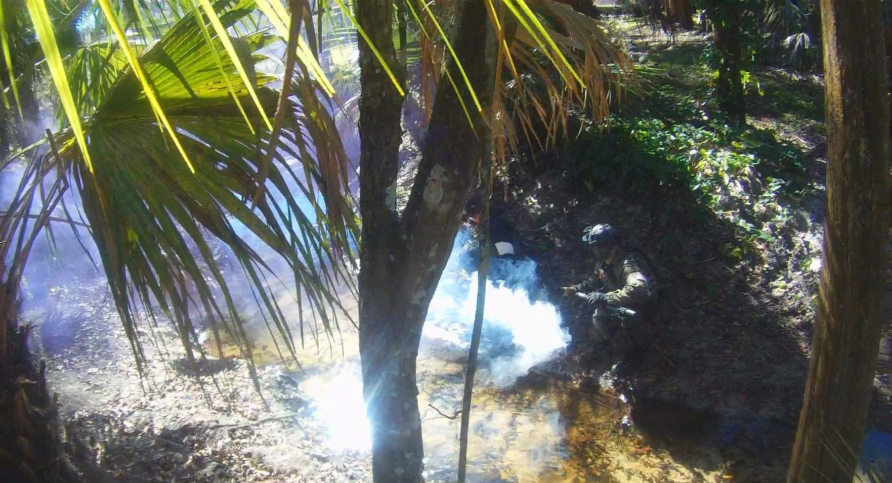 Player deploying a smoke grenade by a creek at Amerika